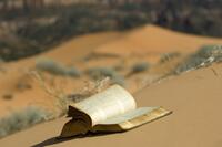 Bible-desert