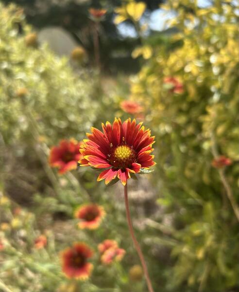 Unknown-4